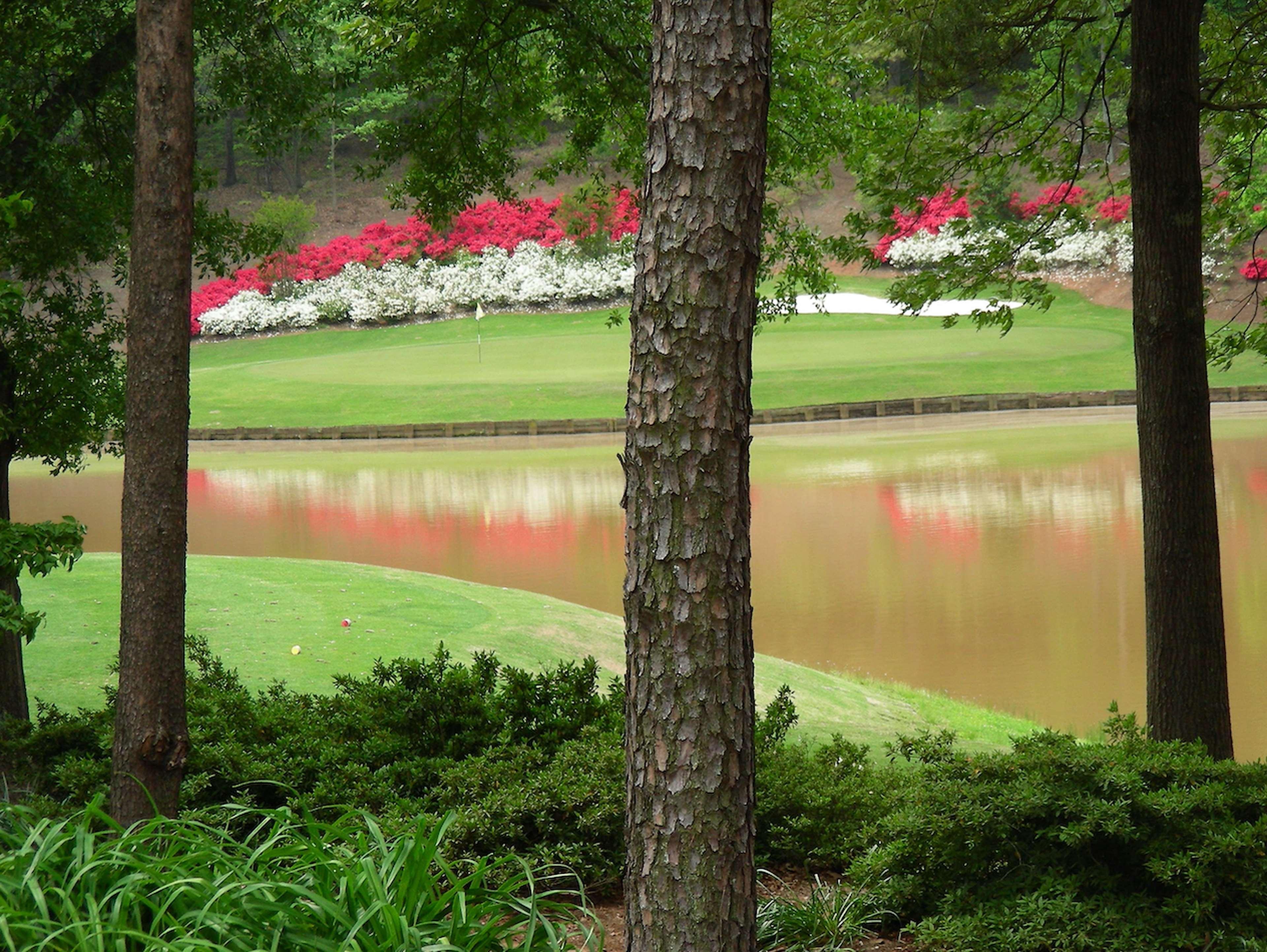 Embassy Suites Greenville Golf Resort & Conference Center מראה חיצוני תמונה